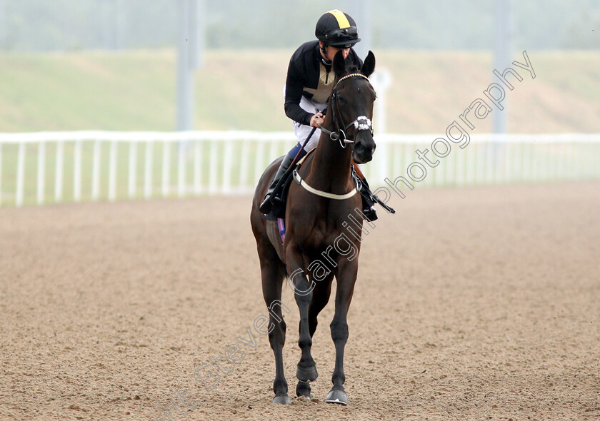 Pass-The-Gin-0001 
 PASS THE GIN (Oisin Murphy) 
Chelmsford 31 May 2018 - Pic Steven Cargill / Racingfotos.com