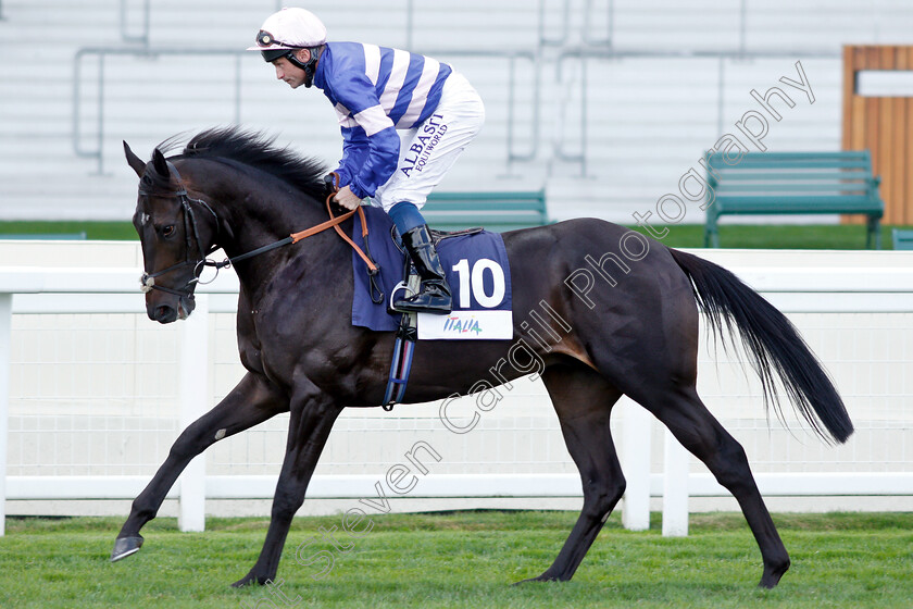 Swiper-0001 
 SWIPER (Dane O'Neill)
Ascot 7 Sep 2018 - Pic Steven Cargill / Racingfotos.com