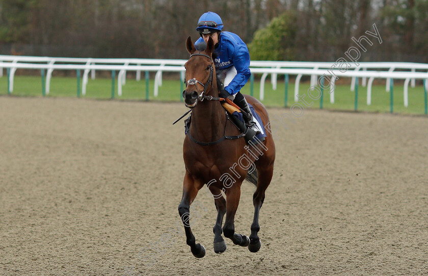 Cantiniere-0001 
 CANTINIERE (Hayley Turner) winner of The sunracing.co.uk EBF Novice Stakes
Lingfield 5 Dec 2018 - Pic Steven Cargill / Racingfotos.com