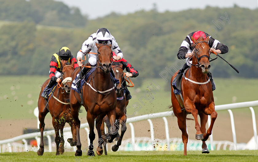 Awesome-0004 
 AWESOME (right, Adam Kirby) beats SHAYA (left) in The Bloodwise Big Welsh Car Show Fillies Novice Stakes Chepstow 6 Sep 2017 - Pic Steven Cargill / Racingfotos.com