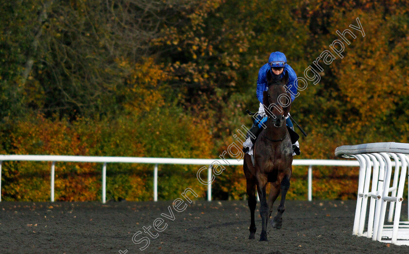 Loxley-0002 
 LOXLEY (William Buick) before winning The Unibet 3 Uniboosts A Day Floodlit Stakes
Kempton 2 Nov 2020 - Pic Steven Cargill / Racingfotos.com