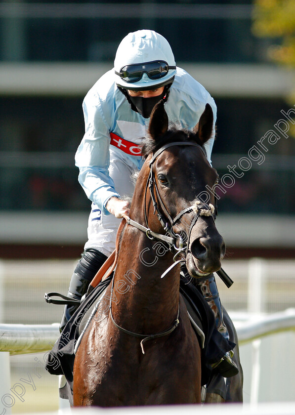 Marlay-Park-0001 
 MARLAY PARK (Ryan Moore)
Newbury 18 Sep 2020 - Pic Steven Cargill / Racingfotos.com