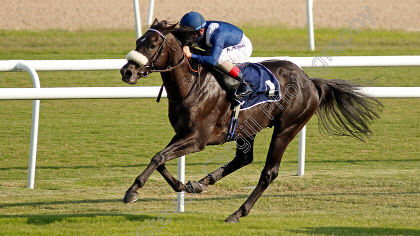 Alejandro-0005 
 ALEJANDRO (Andrea Atzeni) wins The Batelco Cup
Rashid Equestrian & Horseracing Club, Bahrain 20 Nov 2020 - Pic Steven Cargill / Racingfotos.com