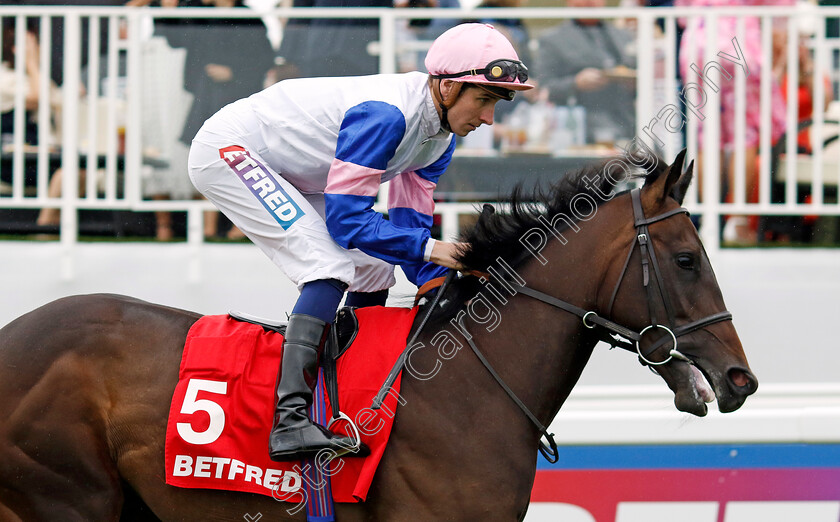 Megalithic-0001 
 MEGALITHIC (Hector Crouch)
Epsom 31 May 2024 - Pic Steven Cargill / Racingfotos.com