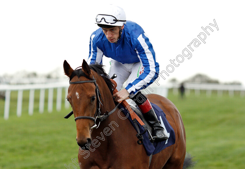 Pink-Iceburg-0001 
 PINK ICEBURG (Shane Kelly)
Bath 17 Oct 2018 - Pic Steven Cargill / Racingfotos.com