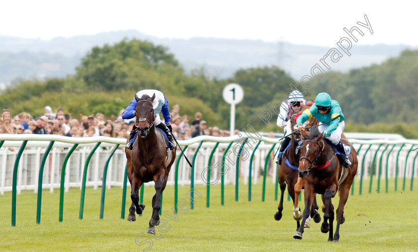 New-Kings-Road-0004 
 NEW KINGS ROAD (left, Sean Levey) beats NEVER DREAM (right) in The Laflins Barbers Confined Handicap
Salisbury 16 Jun 2024 - pic Steven Cargill / Racingfotos.com