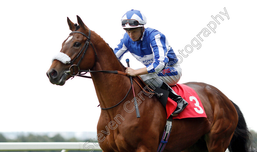 Fox-Mafia-0001 
 FOX MAFIA (David Probert)
Sandown 16 Jun 2018 - Pic Steven Cargill / Racingfotos.com