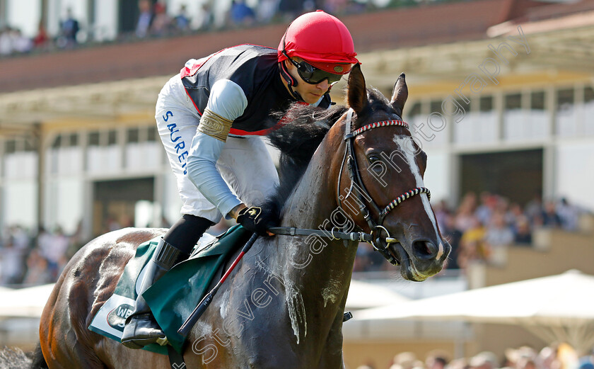 Spanish-Eyes-0002 
 SPANISH EYES (Thore Hammer-Hansen)
Baden Baden 1 Sep 2024 - Pic Steven Cargill / Racingfotos.com