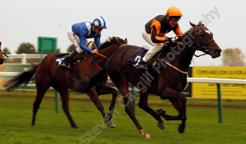 Blaze-Of-Hearts-0002 
 BLAZE OF HEARTS (John Egan) wins The Racing Welfare Handicap Yarmouth 16 Oct 2017 - Pic Steven Cargill / Racingfotos.com