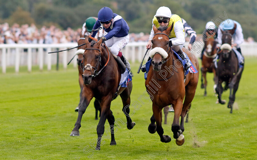 Forza-Orta-0003 
 FORZA ORTA (right, Rowan Scott) beats AZTEC EMPIRE (left) in The Sky Bet Stayers Handicap
York 23 Aug 2023 - Pic Steven Cargill / Racingfotos.com