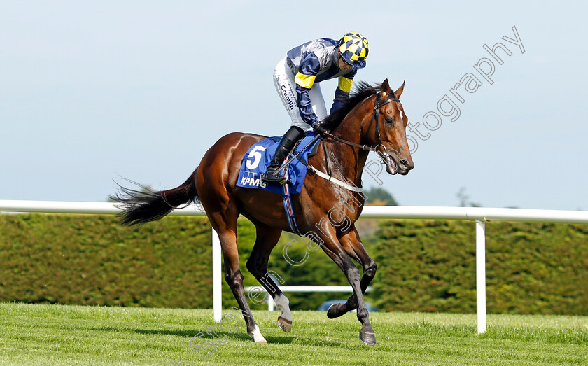 Deepone-0001 
 DEEPONE (Billy Lee)
Leopardstown 9 Sep 2023 - Pic Steven Cargill / Racingfotos.com