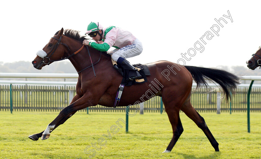 Bell-Rock-0006 
 BELL ROCK (Oisin Murphy) wins The Willow Novice Stakes
Newmarket 24 Oct 2018 - Pic Steven Cargill / Racingfotos.com