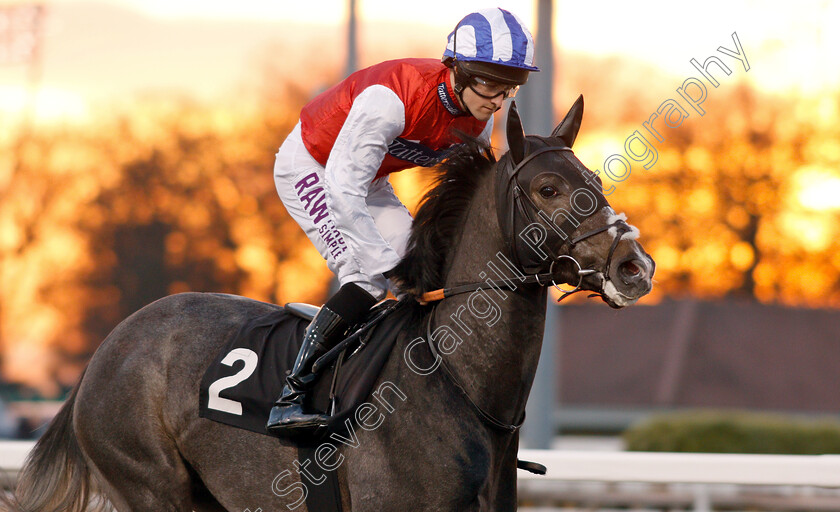 Revolutionise-0001 
 REVOLUTIONISE (Charlie Bennett)
Chelmsford 20 Feb 2019 - Pic Steven Cargill / Racingfotos.com