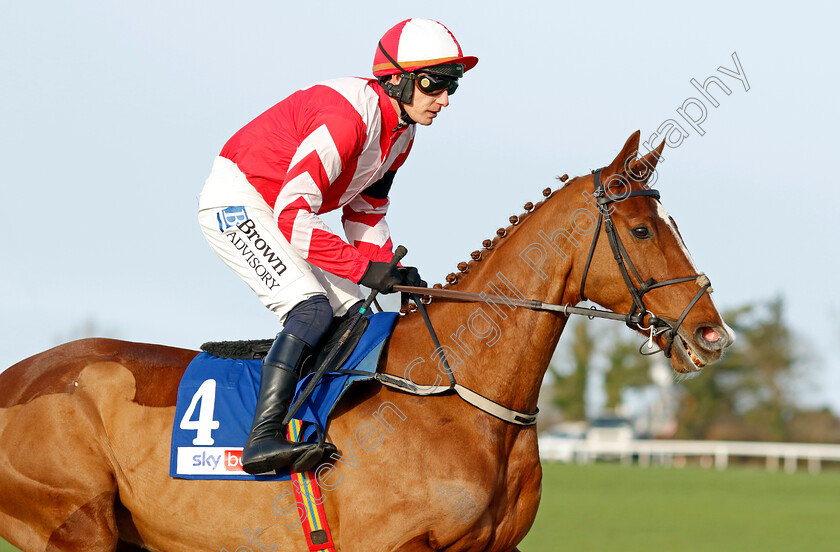 Lecky-Watson-0008 
 LECKY WATSON (Paul Townend) winner of The Sky Bet Novices Chase
Punchestown 12 Jan 2025 - Pic Steven Cargill / Racingfotos.com