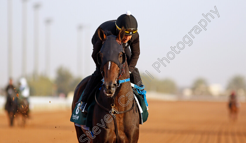 Midnight-Bourbon-0008 
 MIDNIGHT BOURBON training for the Saudi Cup
King Abdulaziz Racetrack, Riyadh, Saudi Arabia 24 Feb 2022 - Pic Steven Cargill / Racingfotos.com