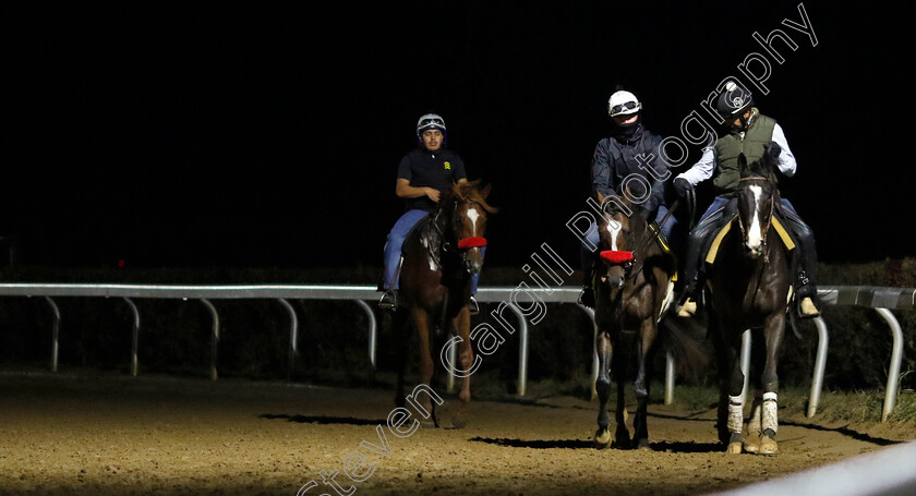 Hot-Rod-Charlie-0001 
 HOT ROD CHARLIE (centre) training for the Breeders' Cup Classic
Keeneland, USA 31 Oct 2022 - Pic Steven Cargill / Racingfotos.com