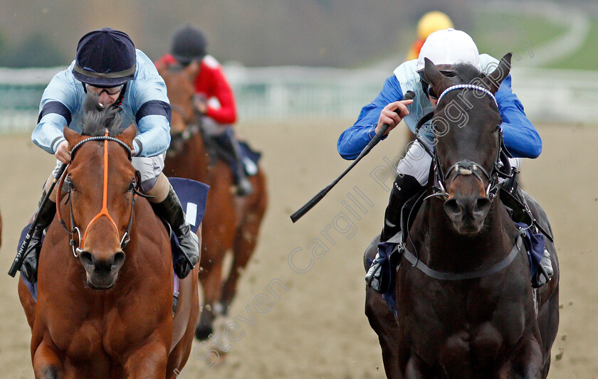 Sir-Edward-Elgar-0007 
 SIR EDWARD ELGAR (right, Robert Havlin) beats HOST (left) in The Bombardier British Hopped Amber Beer Maiden Stakes
Lingfield 27 Jan 2021 - Pic Steven Cargill / Racingfotos.com