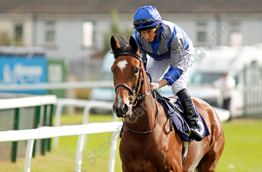 Turner-Girl-0003 
 TURNER GIRL (Ryan Moore)
Yarmouth 16 Sep 2021 - Pic Steven Cargill / Racingfotos.com