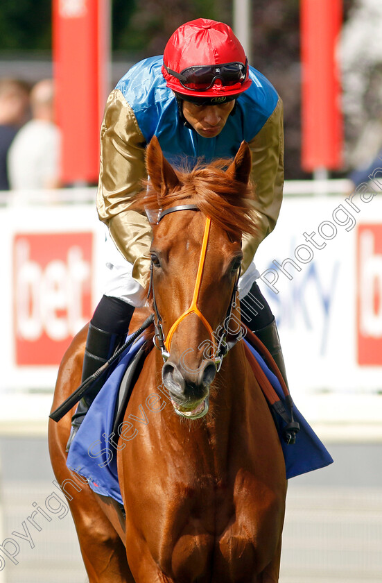 Isaac-Shelby-0001 
 ISAAC SHELBY (Sean Levey)
York 26 Aug 2023 - Pic Steven Cargill / Racingfotos.com