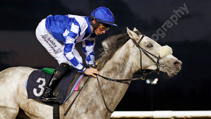 Perfect-Life-0002 
 PERFECT LIFE (Rossa Ryan) wins The Betmgm Maiden Stakes
Wolverhampton 20 Dec 2024 - Pic Steven Cargill / Racingfotos.com