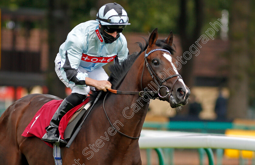 Alenquer-0002 
 ALENQUER (Tom Marquand)
Haydock 5 Sep 2020 - Pic Steven Cargill / Racingfotos.com