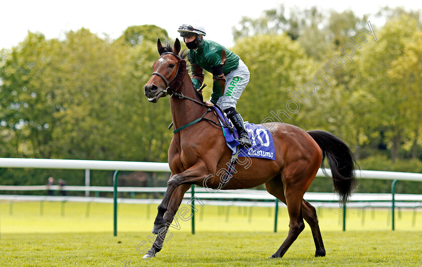 Frankenstella-0001 
 FRANKENSTELLA (Jason Hart) winner of The Download The Casumo App Today Handicap
Haydock 22 May 2021 - Pic Steven Cargill / Racingfotos.com