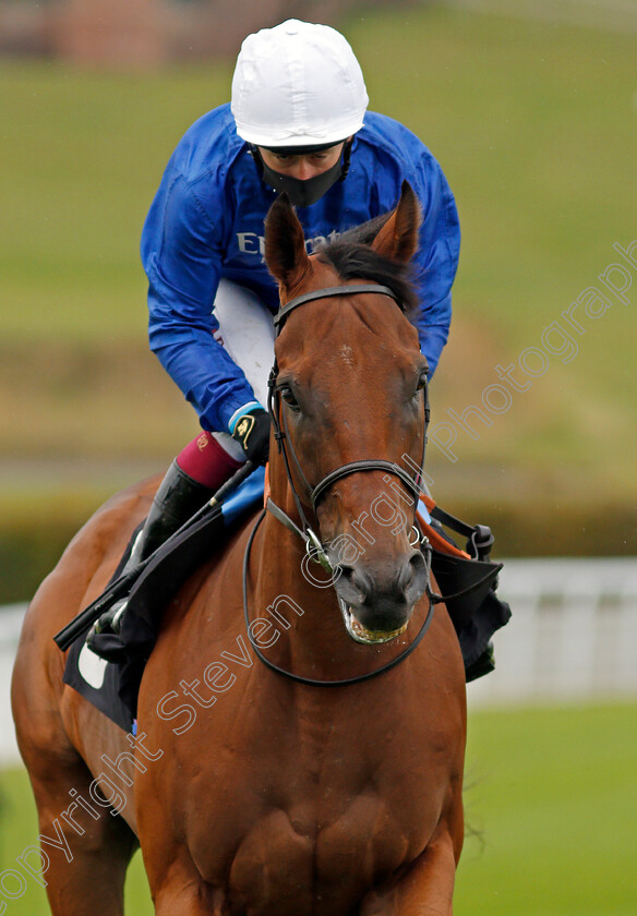 High-End-0001 
 HIGH END (Oisin Murphy)
Goodwood 14 Oct 2020 - Pic Steven Cargill / Racingfotos.com