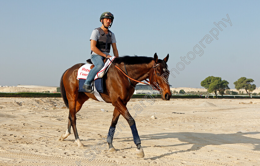 Magny-Cours-0007 
 MAGNY COURS exercising in preparation for Friday's Bahrain International Trophy
Sakhir Racecourse, Bahrain 17 Nov 2021 - Pic Steven Cargill / Racingfotos.com