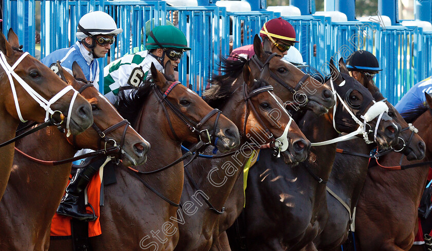 Daddys-Lil-Darling-0001 
 Horses break from the stalls for The New York Stakes, featuring DADDYS LIL DARLING (6, Mike Smith)
Belmont Park 8 Jun 2018 - Pic Steven Cargill / Racingfotos.com