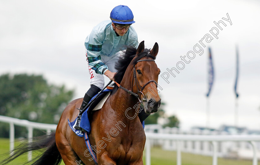 Quickthorn-0003 
 QUICKTHORN (Tom Marquand) winner of The Coral Henry II Stakes
Sandown 26 May 2022 - Pic Steven Cargill / Racingfotos.com