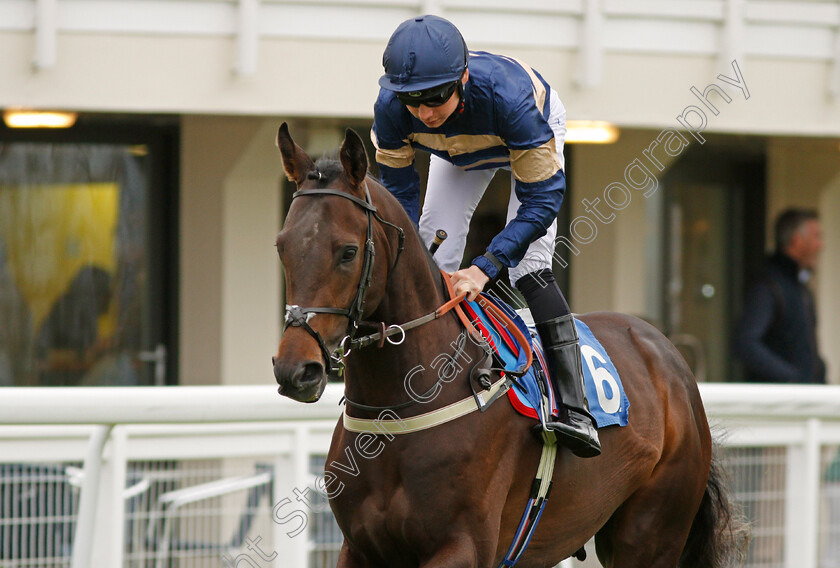 Sexy-Beast-0001 
 SEXY BEAST (Callum Shepherd) Salisbury 29 Apr 2018 - Pic Steven Cargill / Racingfotos.com