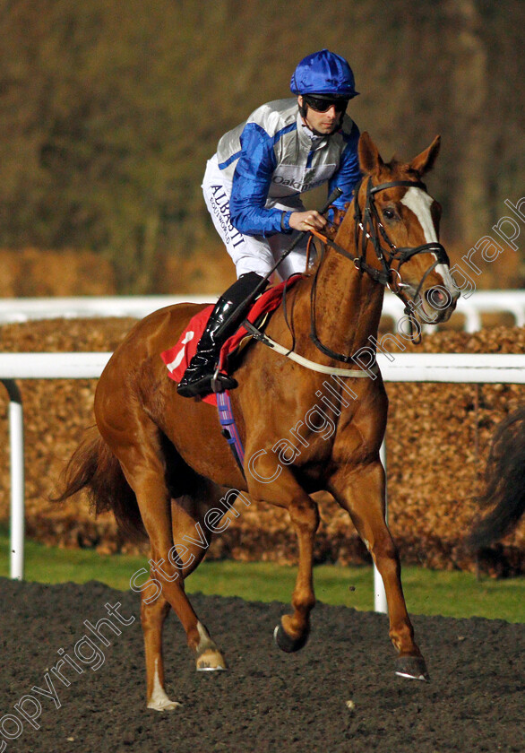 L Enclume-0001 
 L'ENCLUME (Jack Mitchell)
Kempton 16 Feb 2022 - Pic Steven Cargill / Racingfotos.com