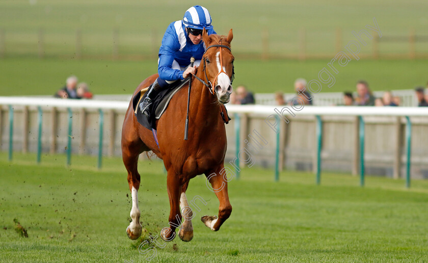 Ehraz-0001 
 EHRAZ (Jim Crowley) wins The British Stallion Studs EBF Conditions Stakes
Newmarket 28 Oct 2022 - Pic Steven Cargill / Racingfotos.com