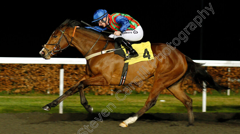 Penarth-Pier-0003 
 PENARTH PIER (Richard Kingscote) wins The Bet At racingtv.com Handicap Div2
Kempton 17 Feb 2020 - Pic Steven Cargill / Racingfotos.com