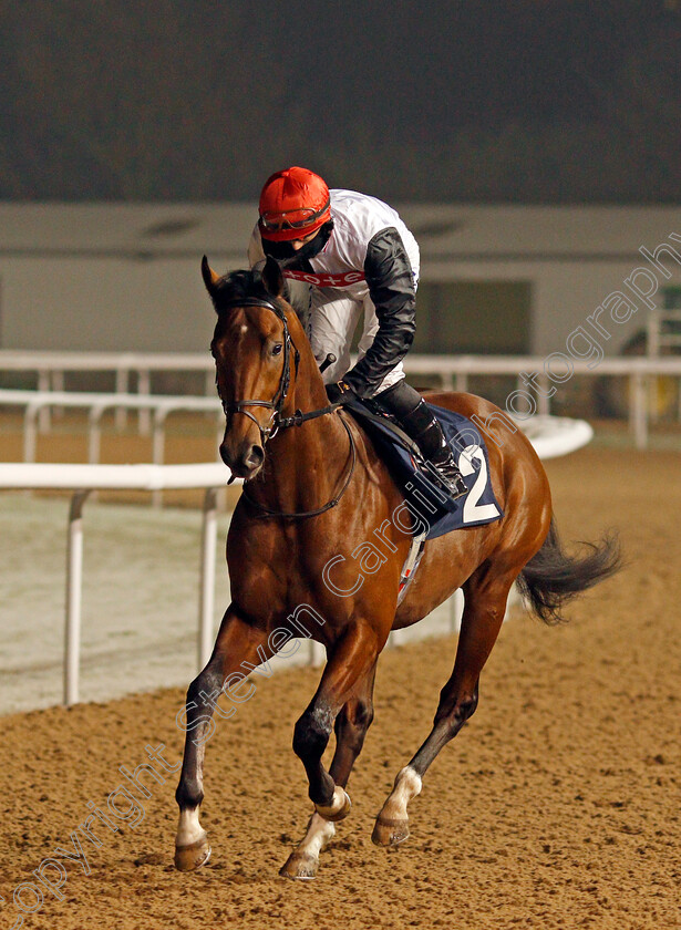 Alto-Volante-0002 
 ALTO VOLANTE (Tom Marquand) winner of The Get Your Ladbrokes Odds Boost Novice Stakes
Wolverhampton 7 Jan 2021 - Pic Steven Cargill / Racingfotos.com