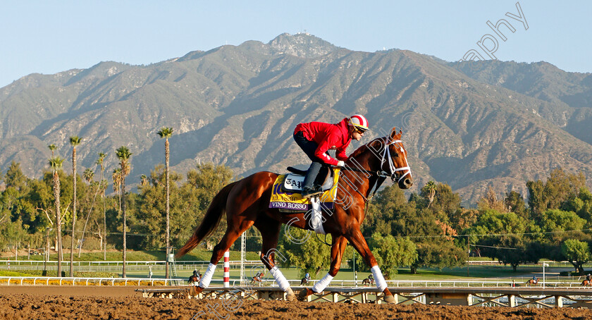 Vino-Rosso-0002 
 VINO ROSSO training for the Breeders' Cup Classic
Santa Anita USA 30 Oct 2019 - Pic Steven Cargill / Racingfotos.com