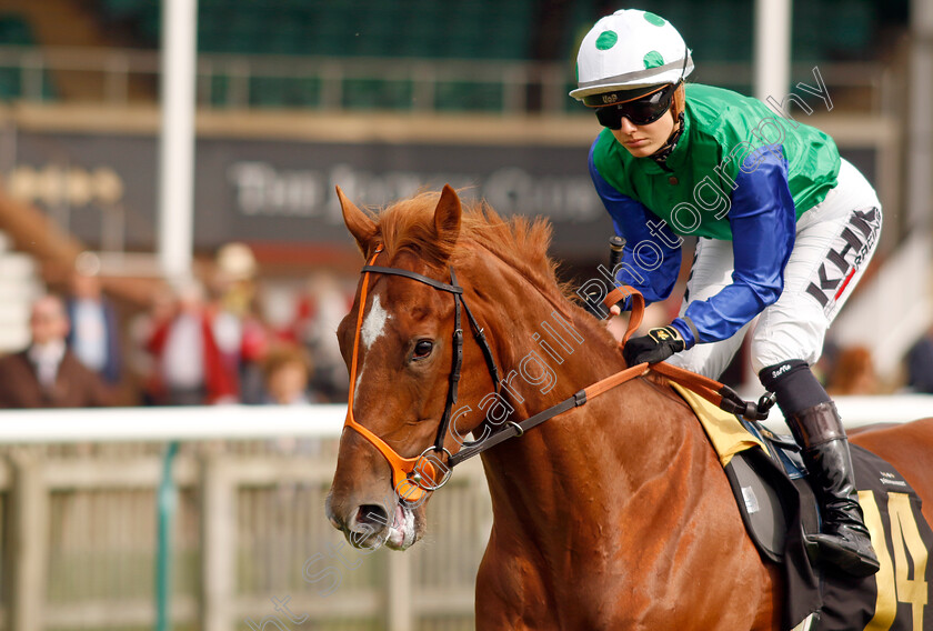 Monkey-Island-0001 
 MONKEY ISLAND (Saffie Osborne)
Newmarket 28 Sep 2023 - Pic Steven Cargill / Racingfotos.com