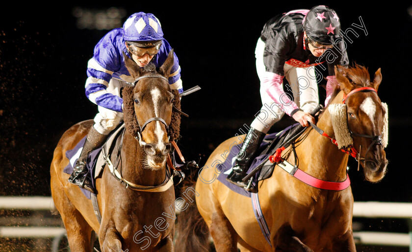 Tyrsal-0003 
 TYRSAL (left, Gavin Ashton) beats SOCIOLOGIST (right) in The Heed Your Hunch At Betway Handicap
Southwell 15 Jan 2020 - Pic Steven Cargill / Racingfotos.com