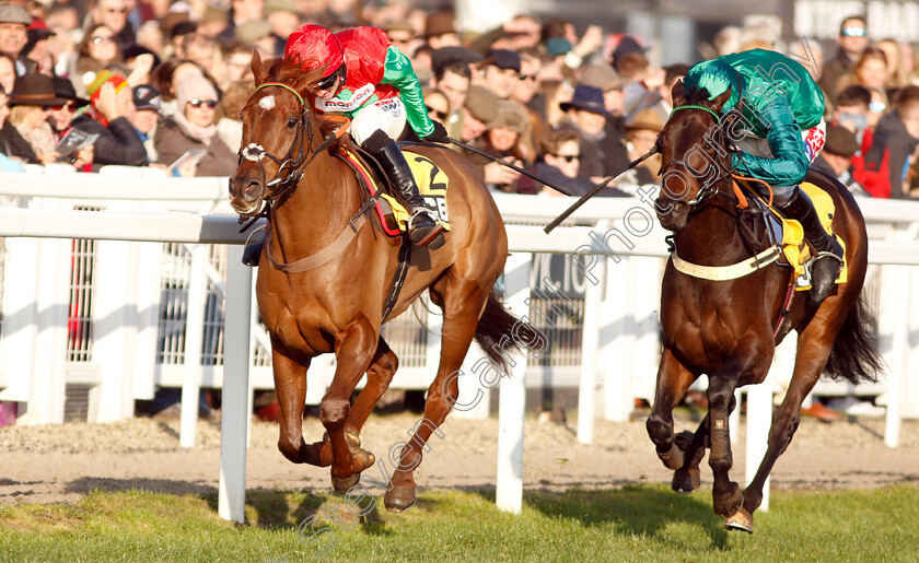 Quel-Destin-0005 
 QUEL DESTIN (Harry Cobden) wins The JCB Triumph Trial Juvenile Hurdle
Cheltenham 17 Nov 2018 - Pic Steven Cargill / Racingfotos.com