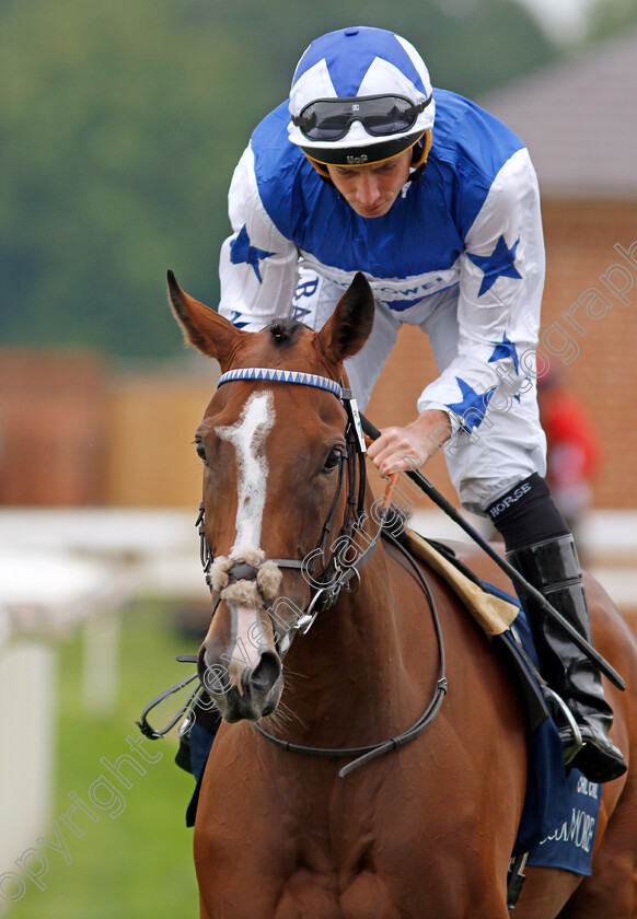 Chil-Chil-0001 
 CHIL CHIL (Ryan Moore)
York 20 Aug 2021 - Pic Steven Cargill / Racingfotos.com