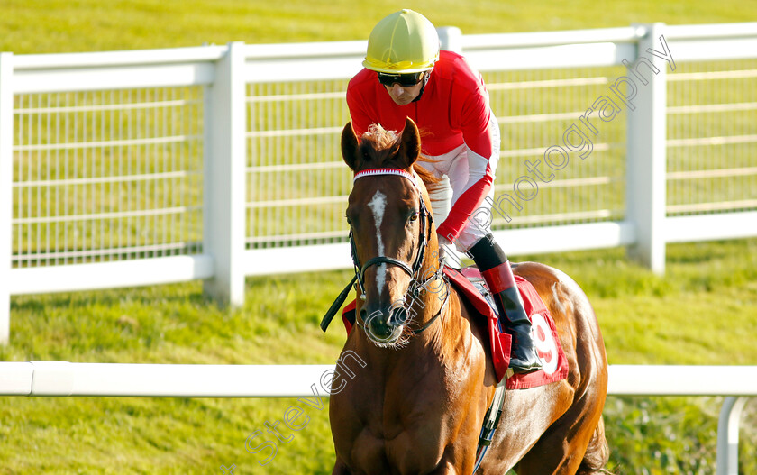 Son-Of-Corballis-0001 
 SON OF CORBALLIS (Declan McDonagh)
Sandown 25 May 2023 - Pic Steven Cargill / Racingfotos.com