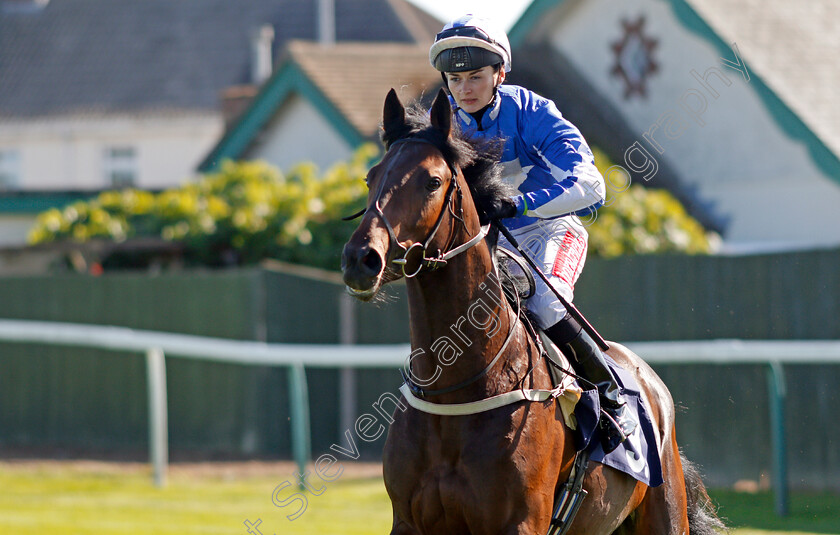 Valletta-Sunset-0001 
 VALLETTA SUNSET (Shelley Birkett)
Yarmouth 19 Sep 2019 - Pic Steven Cargill / Racingfotos.com