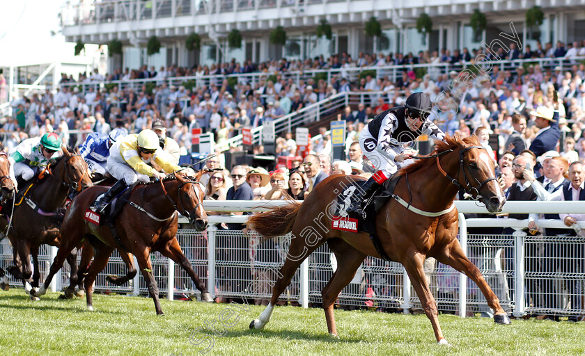 Rumble-Inthejungle-0003 
 RUMBLE INTHEJUNGLE (Tom Queally) wins The Markel Insurance Molecomb Stakes
Goodwood 1 Aug 2018 - Pic Steven Cargill / Racingfotos.com