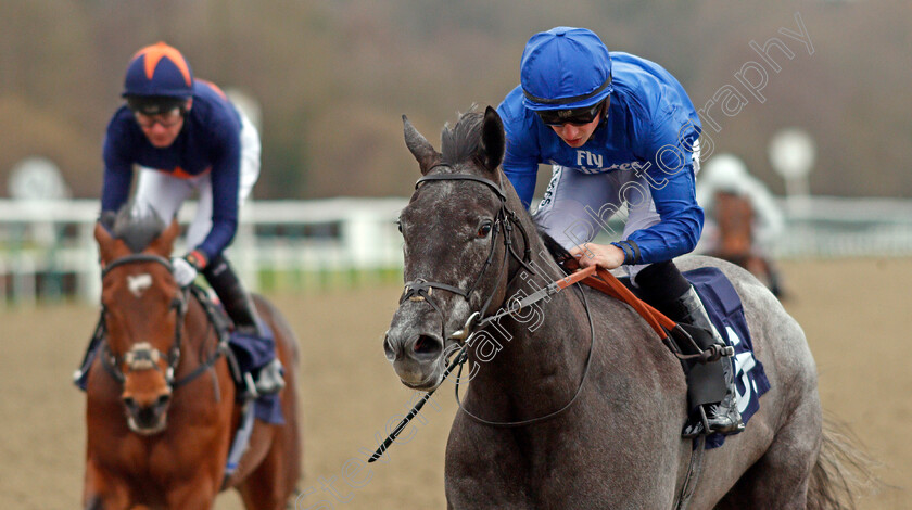 Broderie-0010 
 BRODERIE (Tom Marquand) wins The 32Red Casino Novice Stakes Lingfield 2 Feb 2018 - Pic Steven Cargill / Racingfotos.com