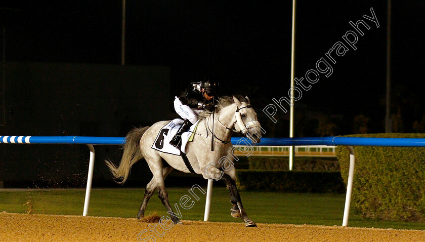 Af-Al-Sajanjle-0002 
 AF AL SAJANJLE (Tadhg O'Shea) wins The Mazrat Al Ruwayah
Meydan 14 Feb 2019 - Pic Steven Cargill / Racingfotos.com