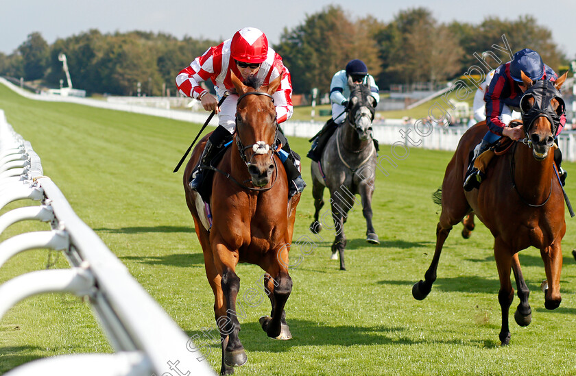 Via-Serendipity-0003 
 VIA SERENDIPITY (left, Stevie Donohoe) beats TURN ON THE CHARM (right) in The White Beech Farm Optional Claiming Handicap
Goodwood 22 Sep 2021 - Pic Steven Cargill / Racingfotos.com