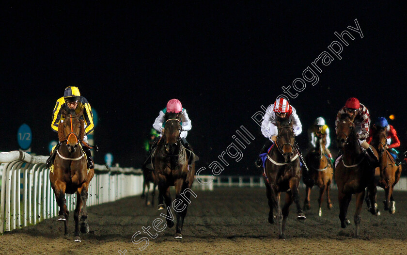 Irish-Acclaim-0002 
 IRISH ACCLAIM (Liam Keniry) beats CLAUDIUS SECUNDUS (right) and RONDO (centre) in The 32Red On The App Store Maiden Stakes Div2
Kempton 19 Feb 2020 - Pic Steven Cargill / Racingfotos.com