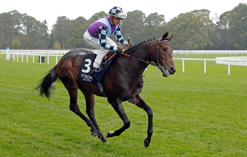 El-Habeeb-0008 
 EL HABEEB (Andrea Atzeni) winner of The Peroni Nastro Azzurro Noel Murless Stakes
Ascot 30 Sep 2022 - Pic Steven Cargill / Racingfotos.com