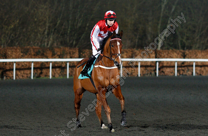 Diaktoros-0001 
 DIAKTOROS (James Morley) Kempton 10 Jan 2018 - Pic Steven Cargill / Racingfotos.com