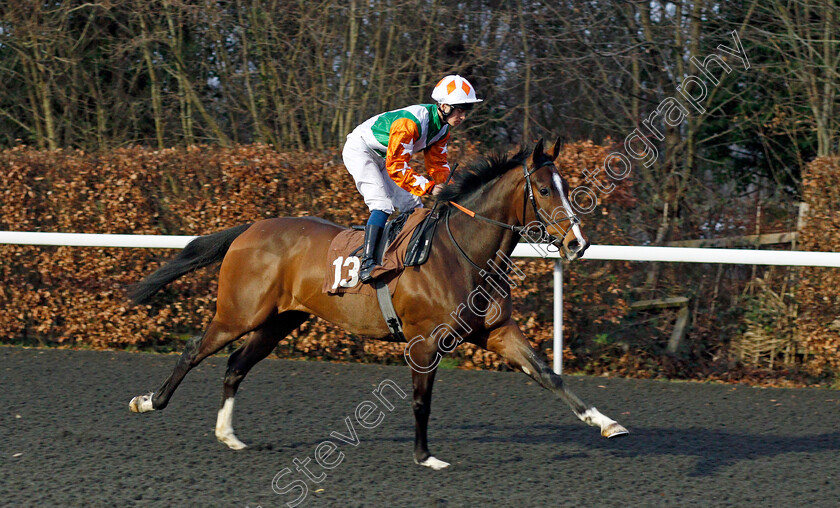 Tessy-Lad 
 TESSY LAD (George Rooke)
Kempton 16 Feb 2022 - Pic Steven Cargill / Racingfotos.com